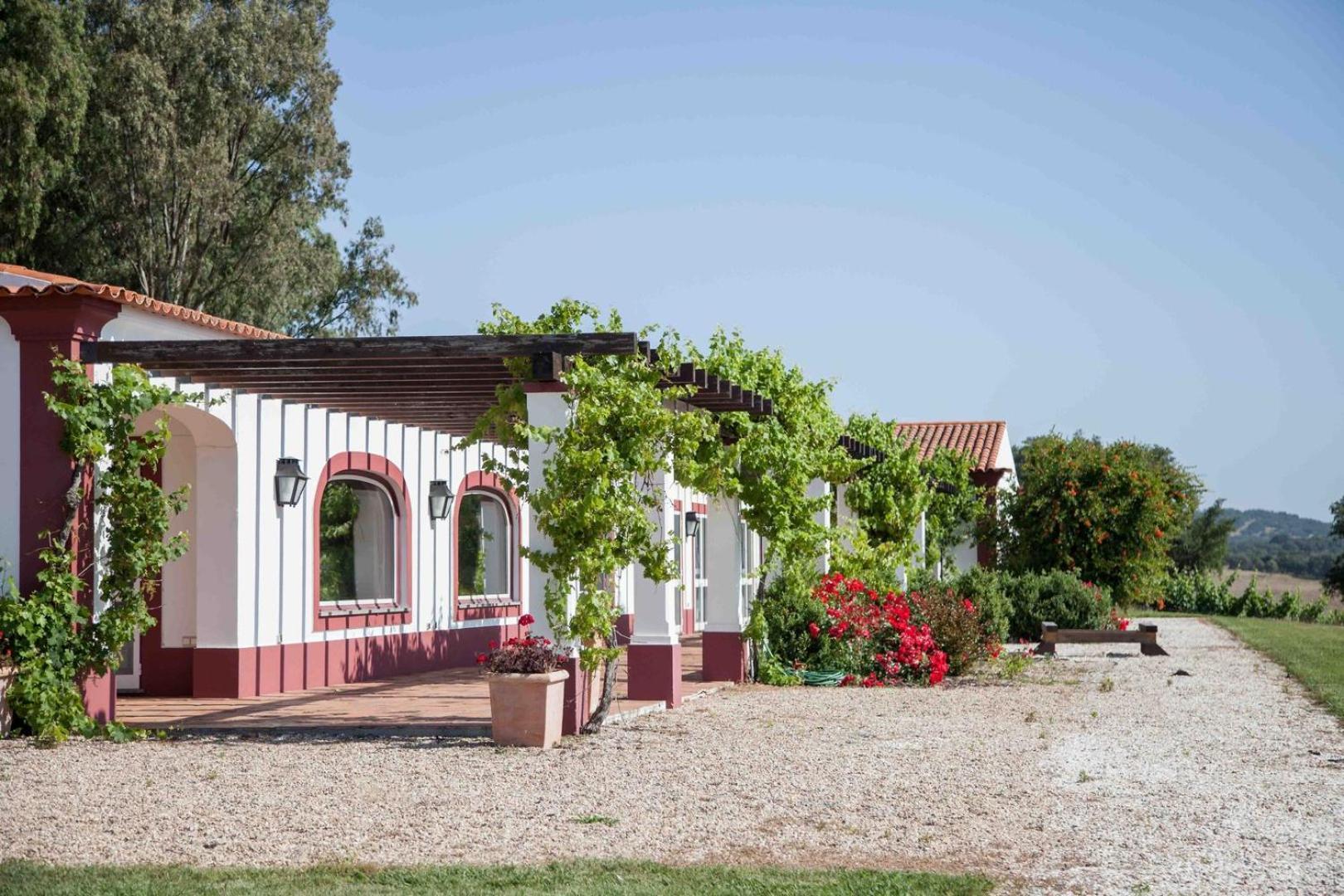 Villa Stunning Mansion In Sao Cristovao Montemor-o-Novo Exterior foto
